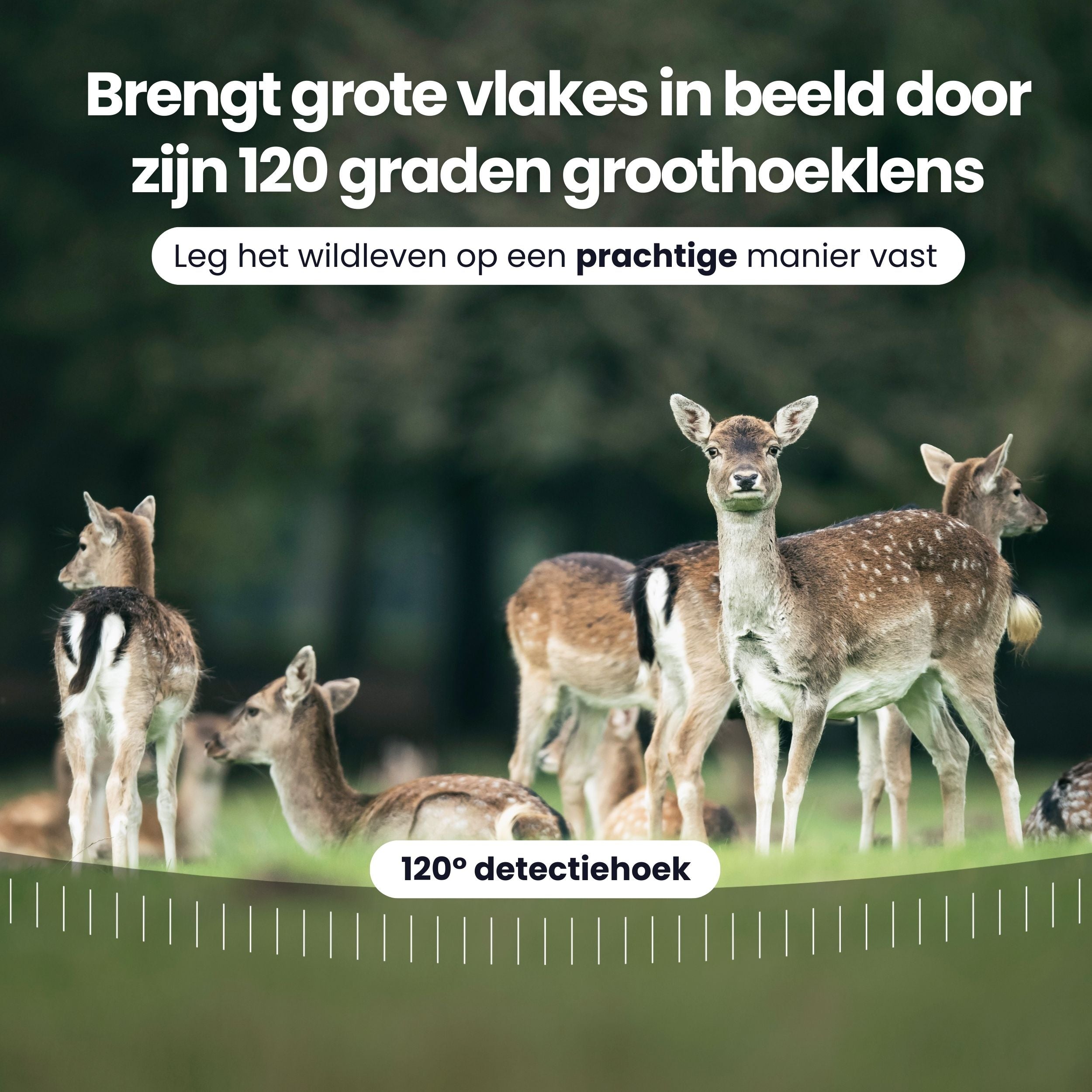 Siltcon Wildcamera voor Buiten – 4K Ultra HD - Siltcon