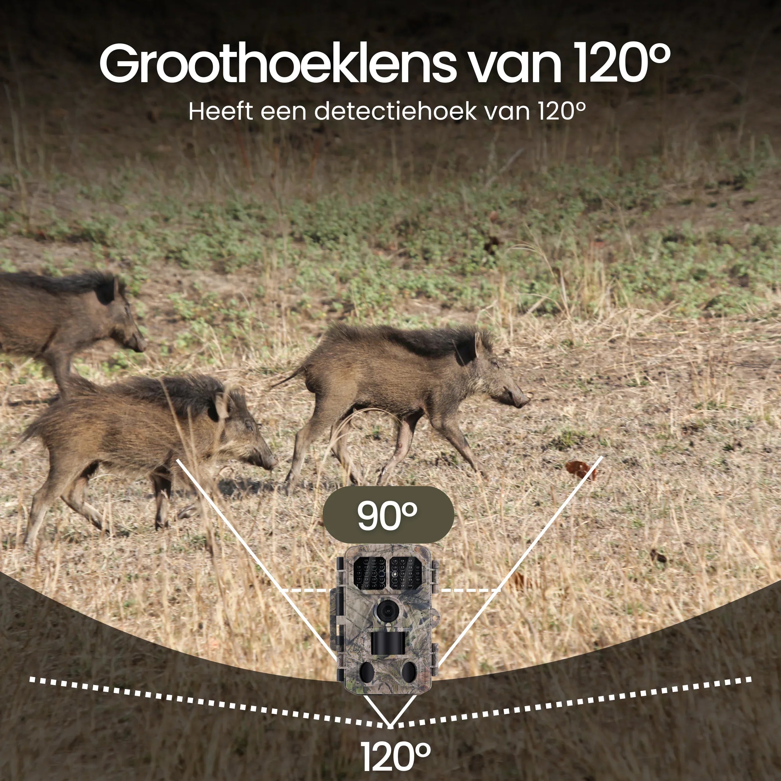 Siltcon Wildcamera met Nachtzicht – 4K