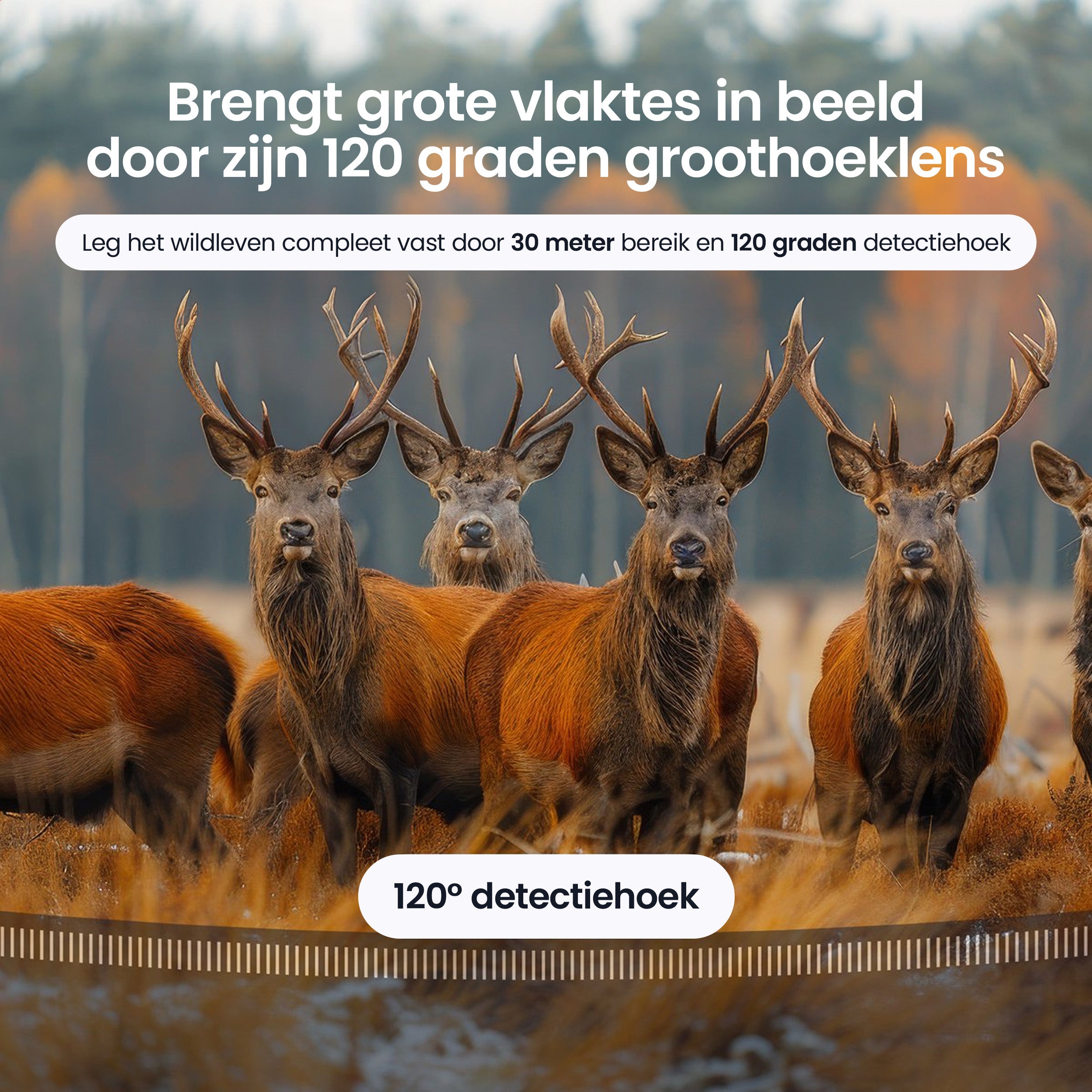 Siltcon – 8K Wildcamera met Zonnepaneel – WiFi