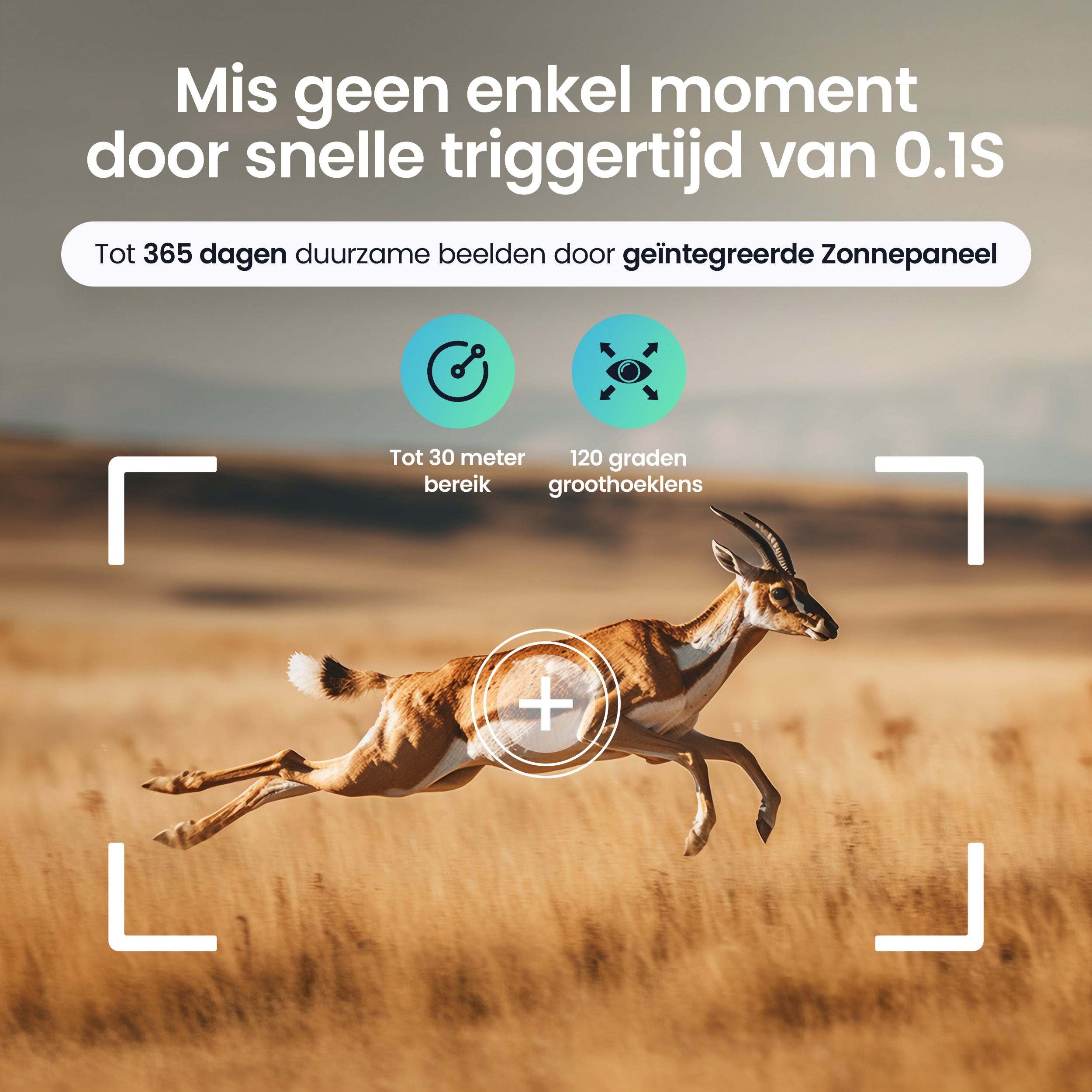 Siltcon – 8K Wildcamera met Zonnepaneel – WiFi