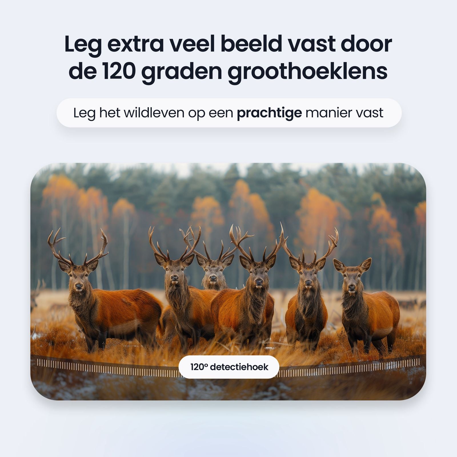 Siltcon Wildcamera Met Nachtzicht en Wifi 128GB - Siltcon