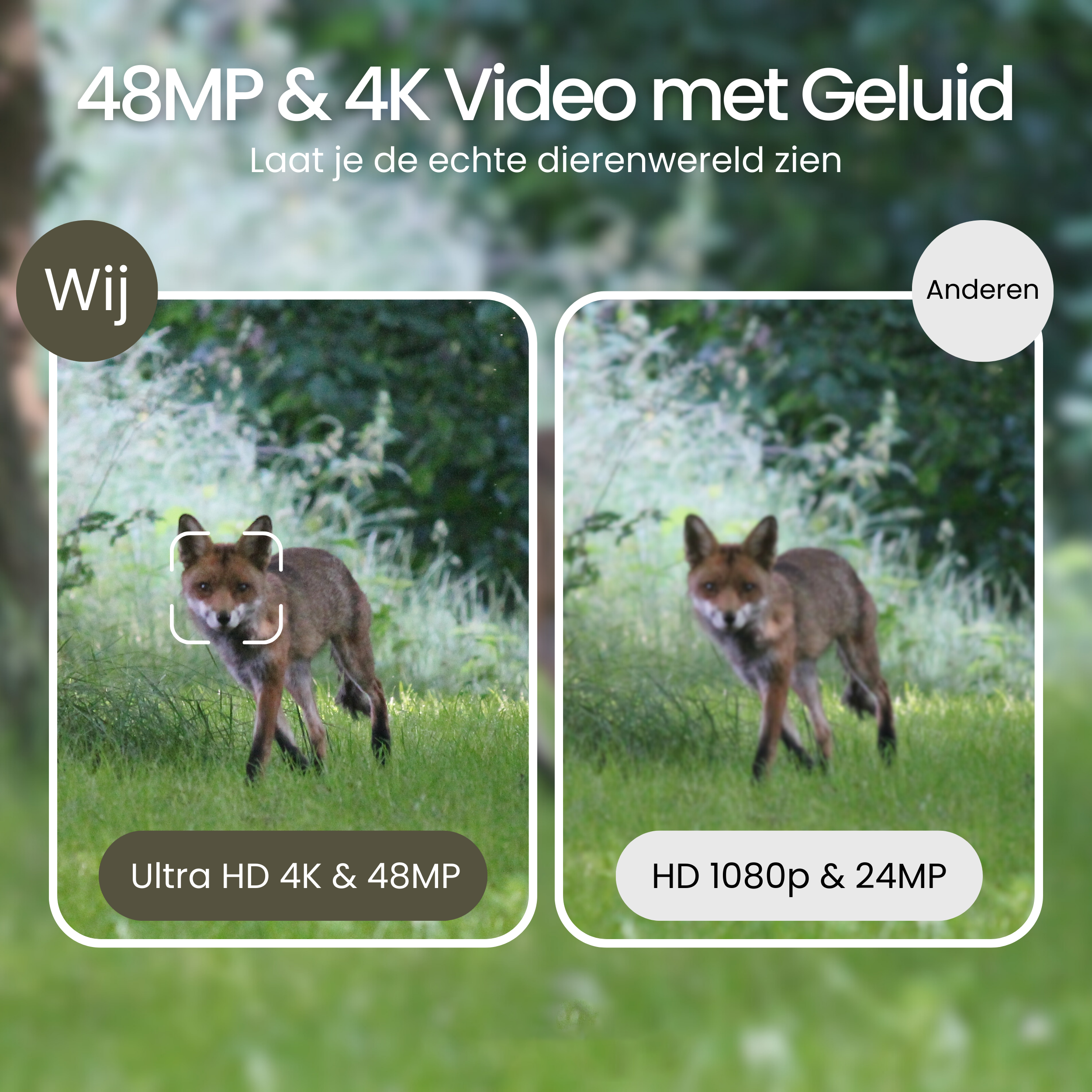 Siltcon® Wild Camera - 4K Ultra HD et 48MP - Carte SD 64 Go - Incl. Trépied - Inc. 8 piles