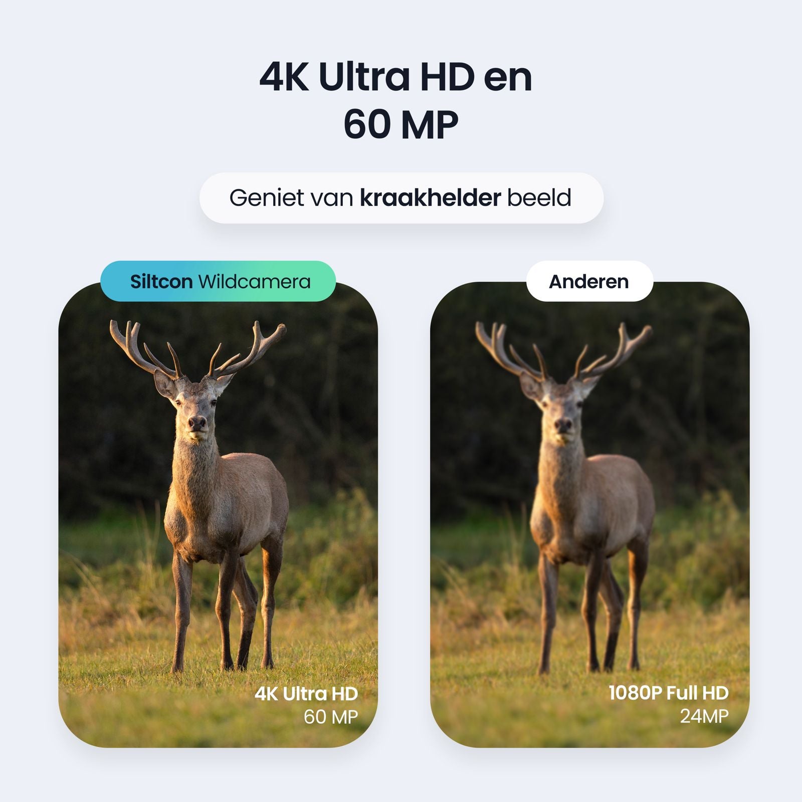 Caméra Siltcon®Wild - 4K Ultra HD & 60MP - Caméra animalière extérieure - APP WiFi - Incl. SD 128 Go - Trépied - 12 batteries - Modèle 2024